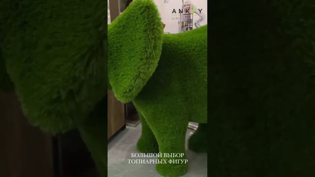 Украшаем дачный участок: фигуры топиари смотреть онлайн