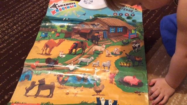 ИЗУЧАЕМ ДОМАШНИХ ЖИВОТНЫХ!Studied PETS!УГАДАЙ ДОМАШНЕЕ ЖИВОТНОЕ ПО ЗВУКУ ЕГО ГОЛОСА) смотреть онлайн