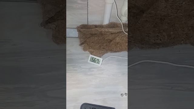 проблемы с котлом по горячей воде. ищем причину. смотреть онлайн