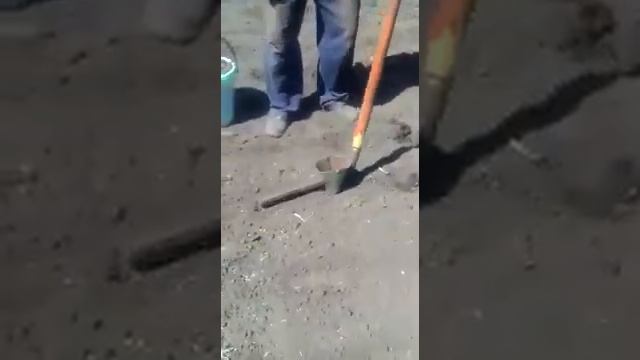 Устройство для облегчения посадки картофеля смотреть онлайн