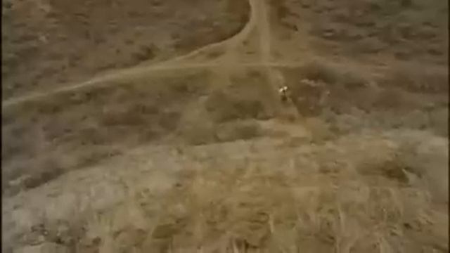 Specialized Demo 7 And Demo 8 In ACTION