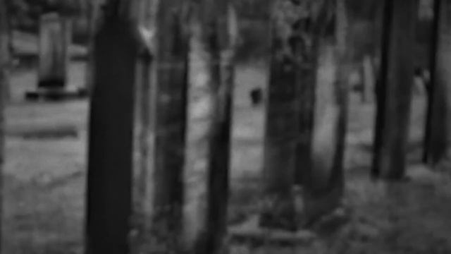 Poppy Playtime Chapter 3 Secret Story || Poppy Playtime Chapter 3 || Stubbyboy смотреть онлайн