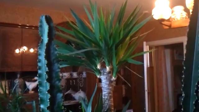 742. Pozdrawljaju Petrikowa A S Поздравляю Петрикова А.С. с днём рождения! 5.1.2013 года. смотреть онлайн