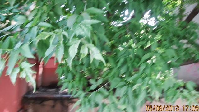 Граффити смотреть онлайн