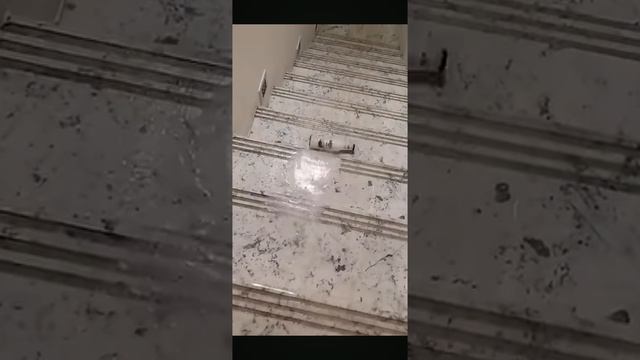 Разбил бутылки по лестнице на 1000$ смотреть онлайн