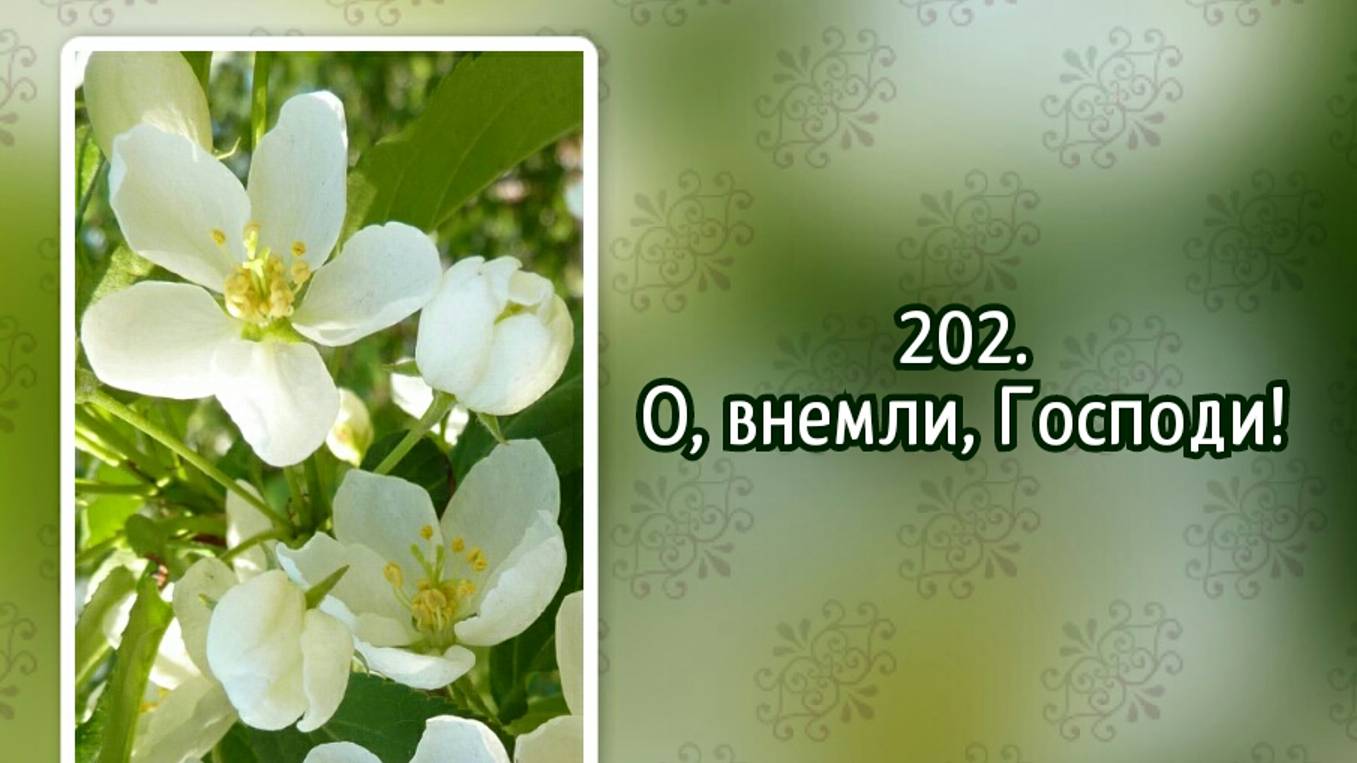 Гимны надежды 202 О, внемли, Господи! (-) смотреть онлайн
