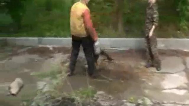 дрессировка, щенок немецкой овчарки семь месяцев смотреть онлайн