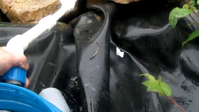 Фильтр для пруда своими руками. Как избавиться от водорослей и сделать воду кристально чистой. смотреть онлайн