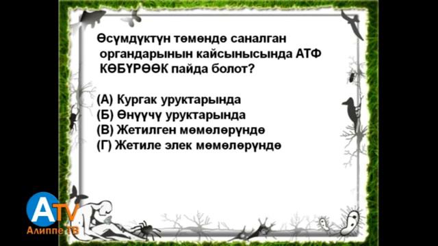 Предметтик тест  Биология  Уландысы 1