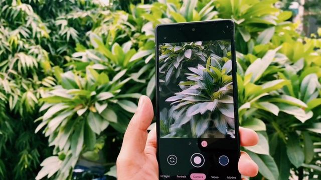 Google Pixel 6 | 128 GB | 8 GB RAM | 50 MP CAMERA | Camera review смотреть онлайн