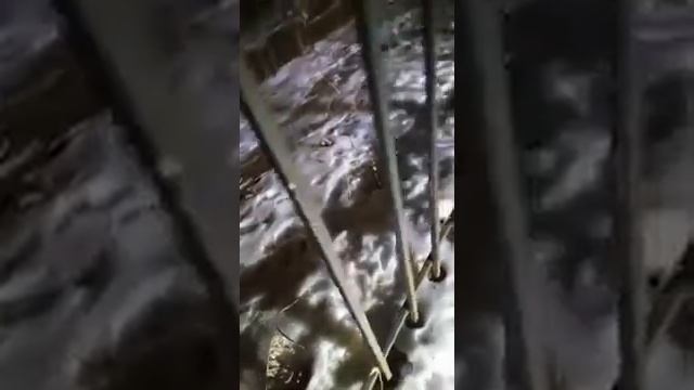 Пробуем качество заготовки для ножа, стали ДИ-113 (85х5с3в2ф2мн). смотреть онлайн
