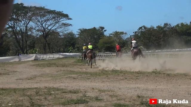 KUDA JUMBO : KELAS DERBY PACUAN KUDA SASAKE LOMBOK 2023