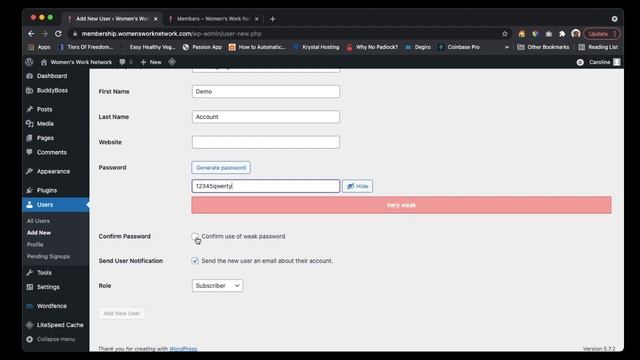 How to add a new user to Wordpress and BuddyBoss смотреть онлайн
