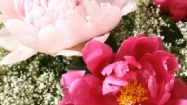 Цвет счастья.wmv смотреть онлайн