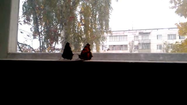 Butterfly Dead | Смерть бабочки