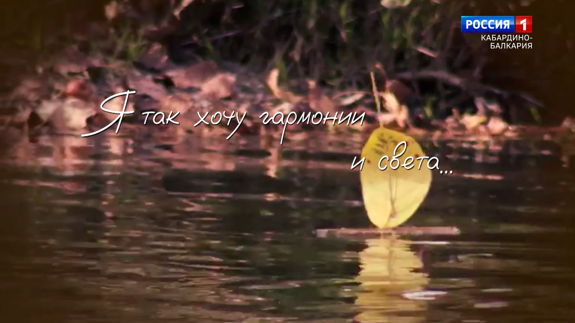 "Поэзия Руслана Семенова" - 2023.09.25 смотреть онлайн