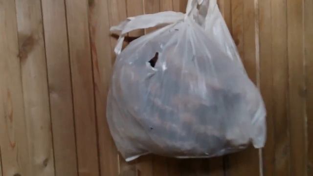 Vlog: дача, лягушки, утки, черемуха... смотреть онлайн