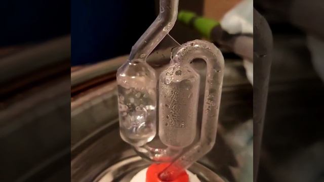 Голос винограда Мерло. смотреть онлайн