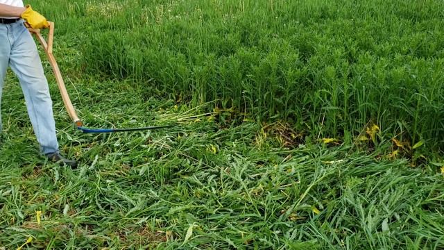 Chop and Drop with a Scythe смотреть онлайн