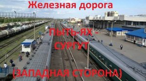 Железная дорога Пыть-Ях - Усть-Юган - Сургут (вид из окна поезда, западная сторона) (СВЖД)