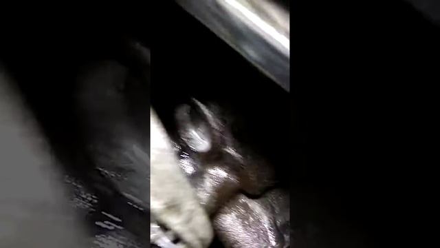 Заглушка блока целиндров смотреть онлайн