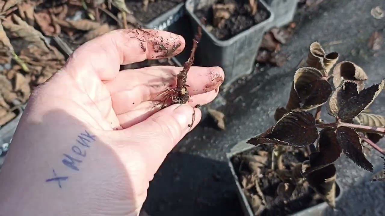 22 марта 2023 г. смотреть онлайн