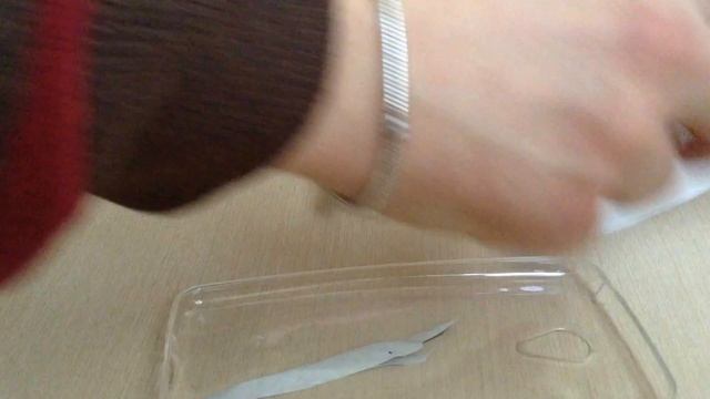 Unpacking silicone cover for Meizu M2/Распаковка силиконового чехла для Meizu M2 смотреть онлайн