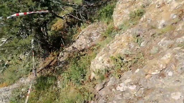 MMK WILD FEST Трейл 60 км смотреть онлайн