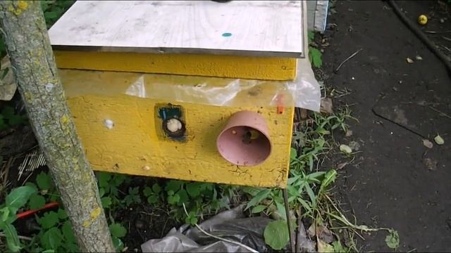 как сформировать отводок пчел - весной, летом и осенью - часть 4 ( всего 4 части ) смотреть онлайн