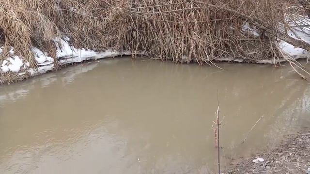 Рыбалка близ Алматы. За османом по весенним рекам. смотреть онлайн