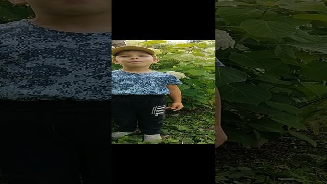 VID_20230712_173611.mp4 смотреть онлайн