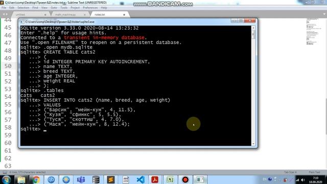 SQLite - 2 - создание первичного ключа в таблице смотреть онлайн