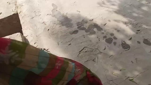 Diamond Dove Ka Pair Lag Geya || Finches Java Ki Seed Mix b Aa Gaye || Vlog No 26 смотреть онлайн