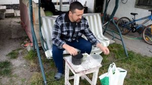 Садим кучерявую вербу. Размножение кучерявой ивы.