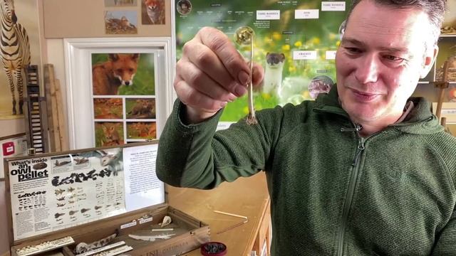 What Are Bird Pellets & Why Are They Important Nests? | Live | Discover Wildlife |Robert E Fuller смотреть онлайн