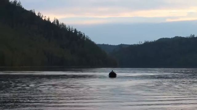 x-river 380 + tohatsu 18 смотреть онлайн