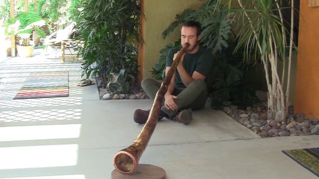 "Draco Deserti" Agave Didgeridoo by William MacGavin смотреть онлайн