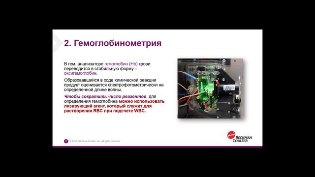 Общий анализ крови – простой ответ на сложные вопросы смотреть онлайн