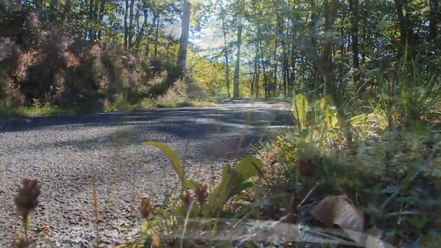 Germain Bonnefis - Essais Peugeot 206 Maxi (A Vendre)