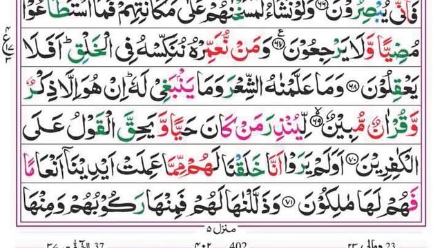 Surah Yaseen | Yasin | Ep 164 | Daily Quran Tilawat Surah Yasin Surah Rahman Surah yasin yaseen смотреть онлайн