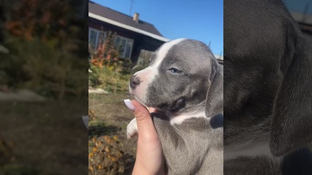 Export_1697351674978