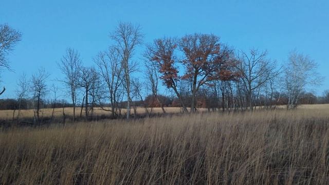 Before Winter: Finding Color In Brown Season- A Compilation Film November Thru January Vlog #34