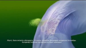НАЙЗ ГЕЛЬ