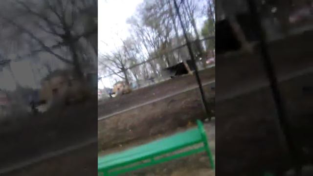 Каневская зоопарк смотреть онлайн