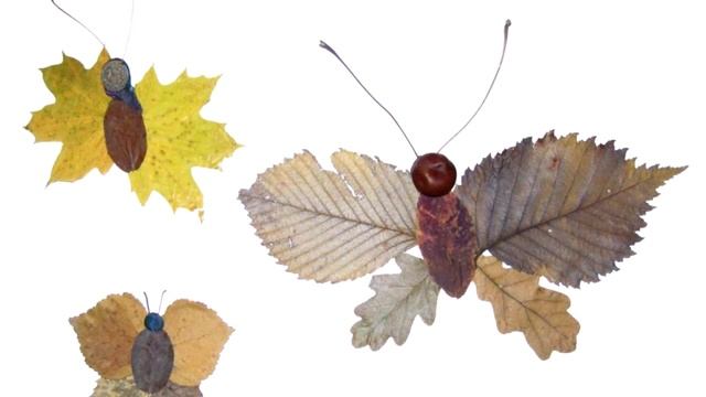 Простые поделки из листьев своими руками из клёна дуба берёзы вяза смотреть онлайн