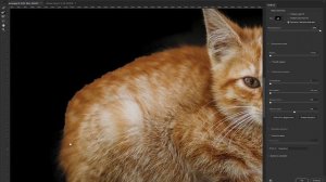 Выделение объекта со сложными краями в фотошоп