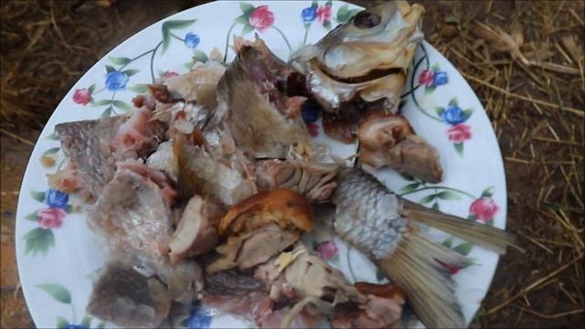 Как растут утки за месяц!!! Д Н 322!