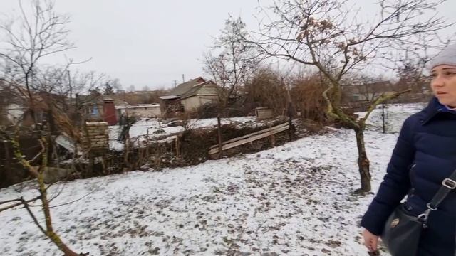 Давно не пили чай с блогерами на даче! смотреть онлайн