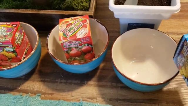 DOLLAR TREE FLOWER ROCKET PLANTING смотреть онлайн