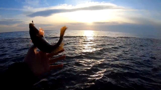 Девушка, собака и я. Открытие сезона морской ловли смотреть онлайн